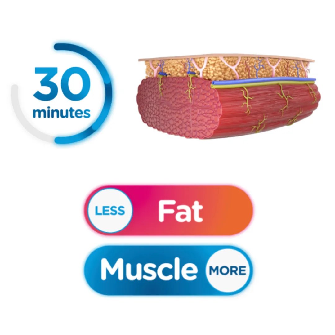 Diagram showing less fat and more muscle after a 30-minute EMSCULPT NEO session